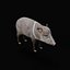 Cochon pécari du Chaco