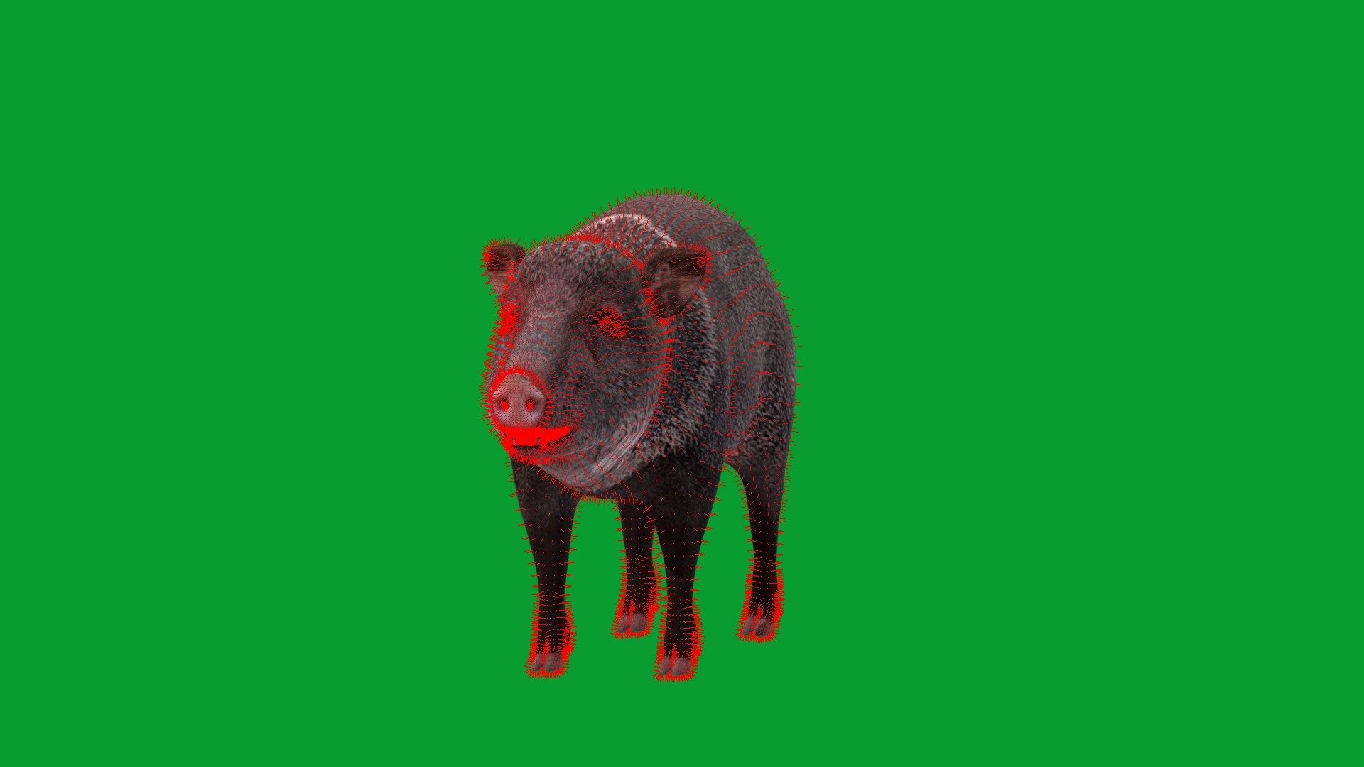 Chacoan Peccary Pig 3D model https://p.turbosquid.com/ts-thumb/Nh/UGSEVp/kd/chacoan_peccary_endangered24/png/1783477429/1920x1080/fit_q87/74e832c1d8d3cb679783b5dfddf26eecc4162b9f/chacoan_peccary_endangered24.jpg