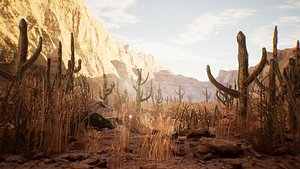 3D model Cactus Package 16 Assets