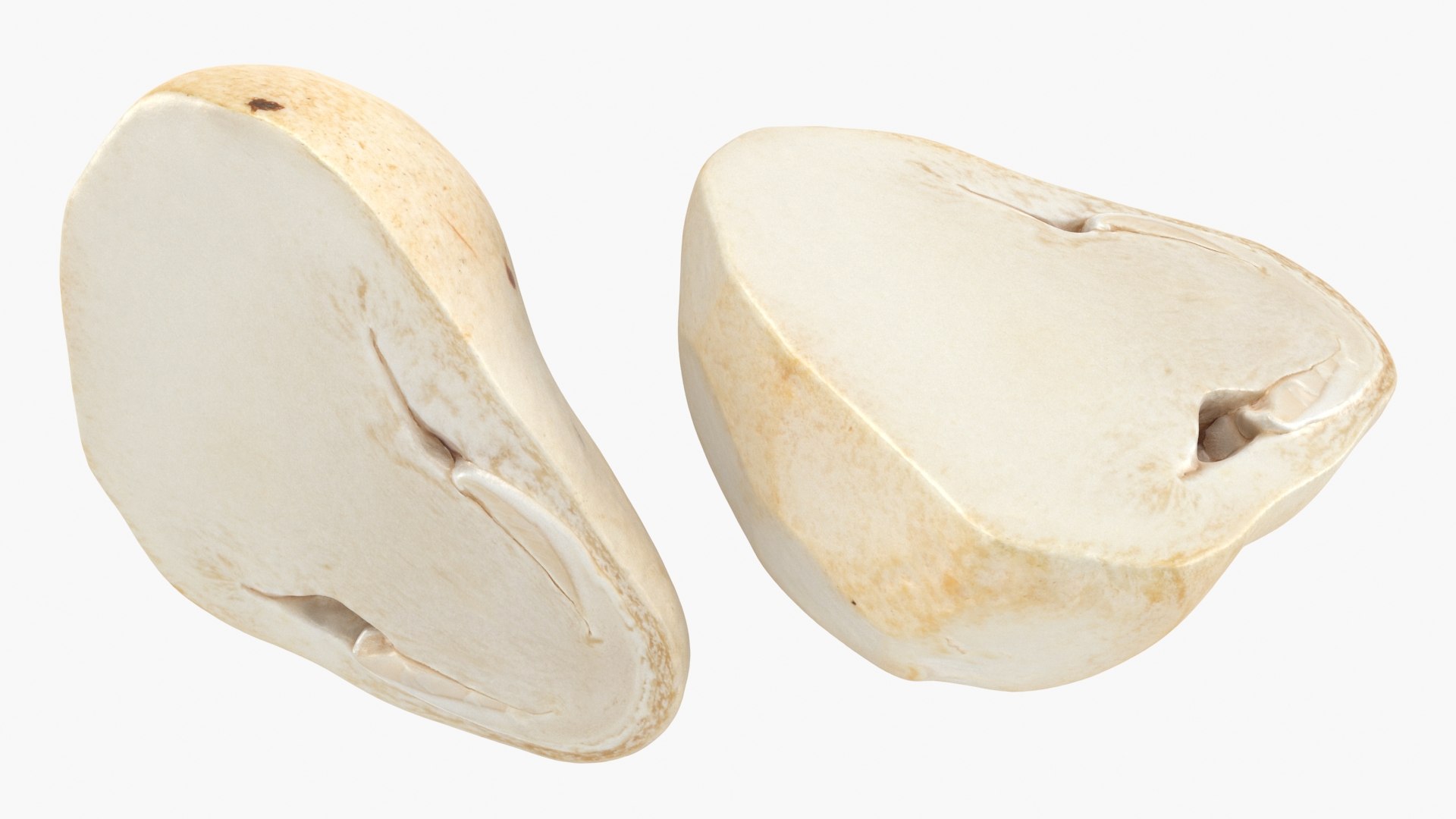 Straw Mushroom Collection model https://p.turbosquid.com/ts-thumb/Nh/i1rX46/fN/strawmushroomhalf_02_a0002/jpg/1655642531/1920x1080/fit_q87/7f6080bdc113864582f035be83dccee72e24e109/strawmushroomhalf_02_a0002.jpg