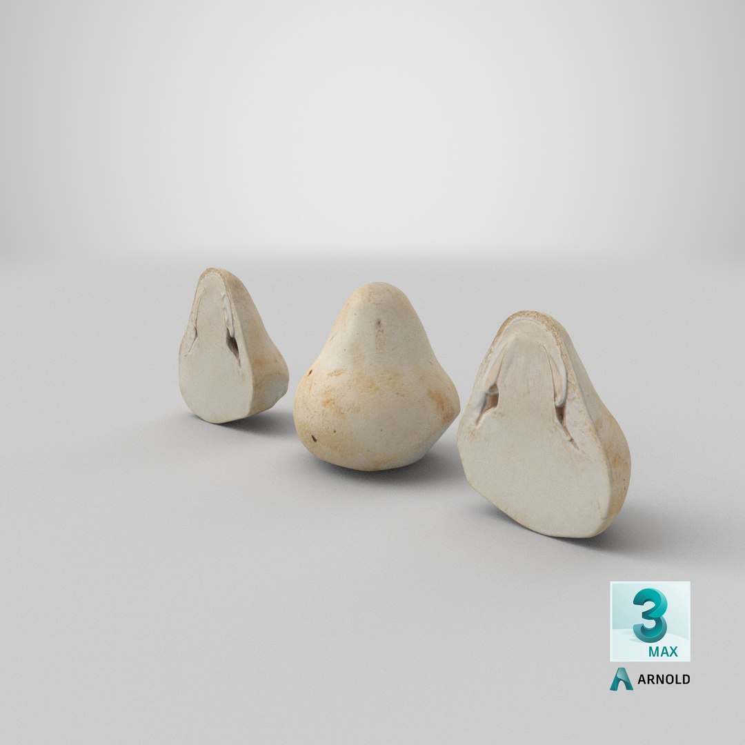 Straw Mushroom Collection model https://p.turbosquid.com/ts-thumb/Nh/i1rX46/gU/stemcell_max_arnold_render/png/1657598569/1920x1080/fit_q87/a8427d8adbfe29bc2b7ab05927852551e177cf71/stemcell_max_arnold_render.jpg