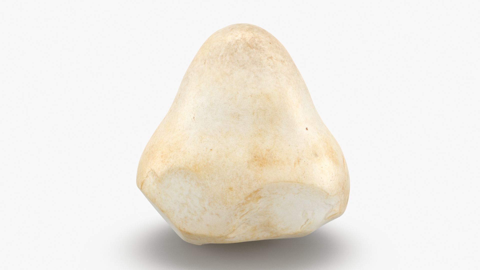 Straw Mushroom Collection model https://p.turbosquid.com/ts-thumb/Nh/i1rX46/nI/strawmushroom/jpg/1656076476/1920x1080/turn_fit_q99/00db5ae5d622c3628be5104f16c1239101733609/strawmushroom-1.jpg