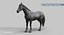 Horse PRO  Black