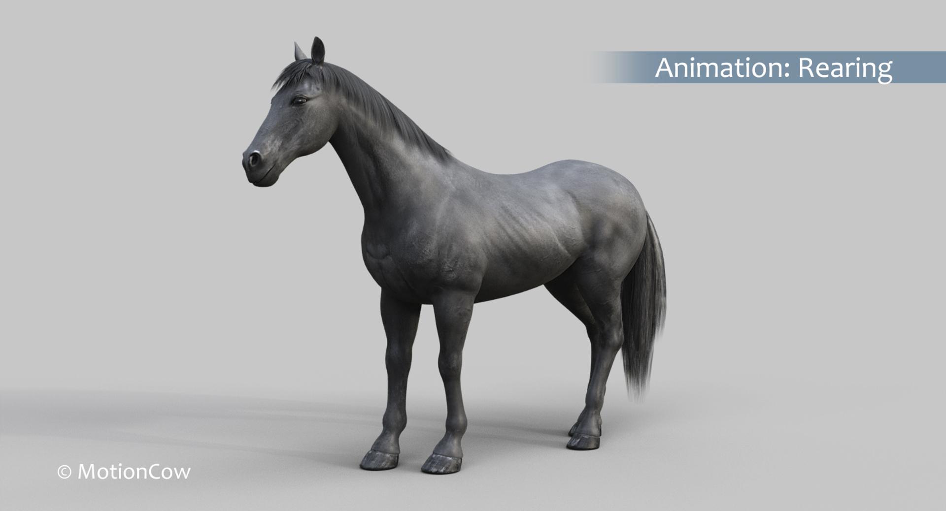 horse pro black animations 3D model https://p.turbosquid.com/ts-thumb/Nh/ij0e3D/102CiCLu/black_horse_rear/jpg/1556880546/1920x1080/turn_fit_q99/08738c07cae6e70e195e8b56fd0ec1541b72d0bc/black_horse_rear-1.jpg