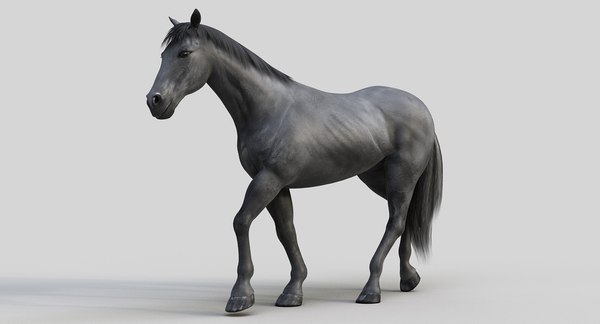 Horse pro black animations 3D model - TurboSquid 1392657