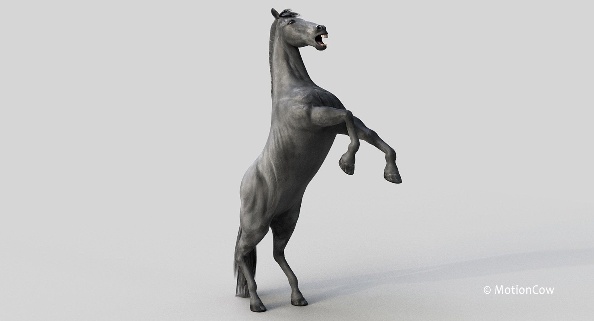 horse pro black animations 3D model https://p.turbosquid.com/ts-thumb/Nh/ij0e3D/8qcAUMOj/black_horse_prog/jpg/1556773879/1920x1080/fit_q87/605e42a6be59b2ae56f2b652988239de7e9935dc/black_horse_prog.jpg