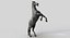 Horse PRO  Black