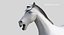 Horse PRO  Black