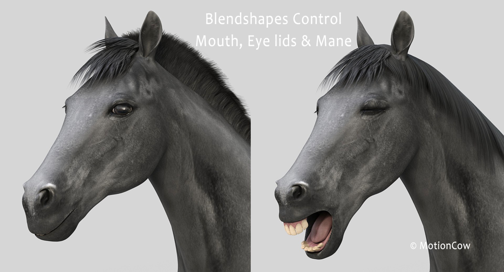 horse pro black animations 3D model https://p.turbosquid.com/ts-thumb/Nh/ij0e3D/AMsbtT82/black_horse_prok/jpg/1556773880/1920x1080/fit_q87/9f9ed443b8460e6522883b7ee48ef4271ee93b3d/black_horse_prok.jpg