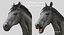 Horse PRO  Black