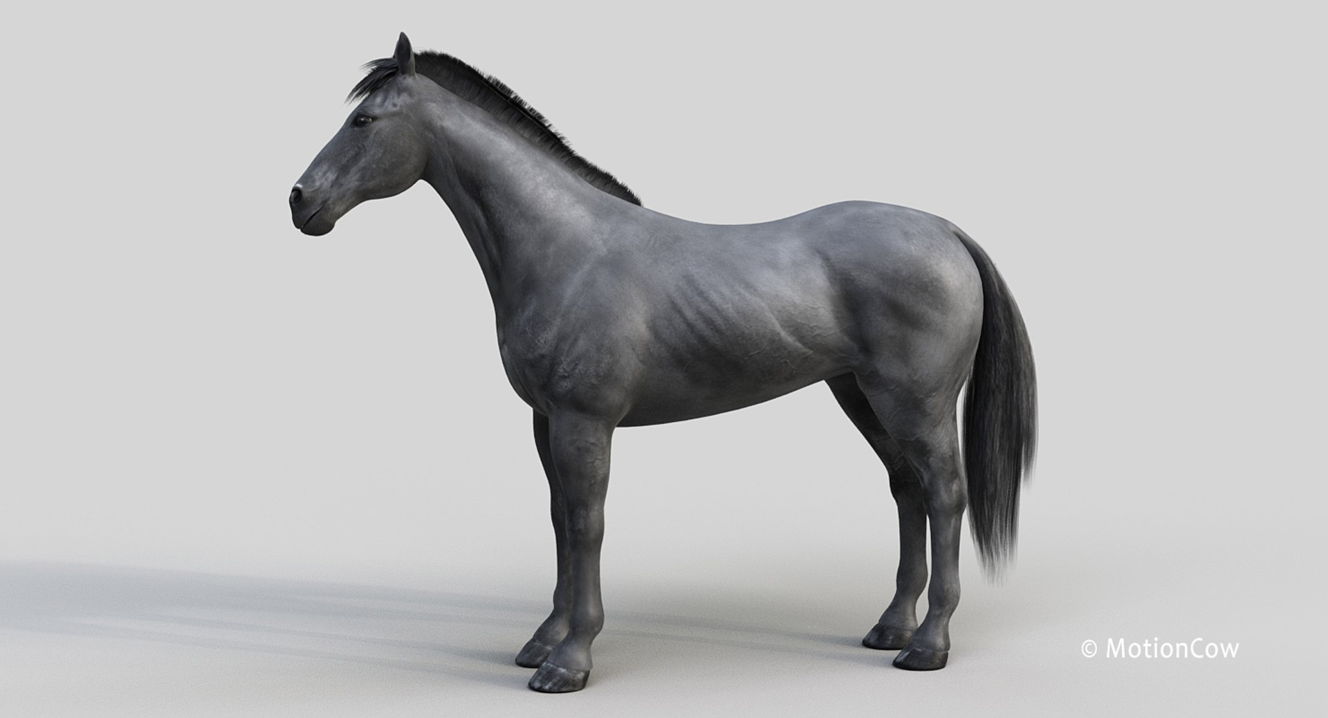horse pro black animations 3D model https://p.turbosquid.com/ts-thumb/Nh/ij0e3D/AUGtv9TT/black_horse_proj1/jpg/1556773880/1920x1080/fit_q87/29d382eb0dcf4c60b72f6c8ad6e678b1fe044403/black_horse_proj1.jpg