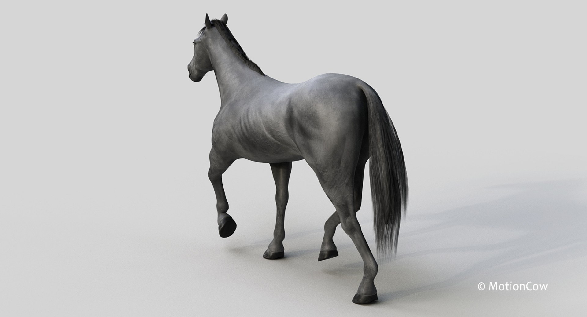 horse pro black animations 3D model https://p.turbosquid.com/ts-thumb/Nh/ij0e3D/CG0vNGJR/black_horse_prod1/jpg/1556773879/1920x1080/fit_q87/0fcd835241da6b66e7ab87bb71033979cb6b7fb8/black_horse_prod1.jpg