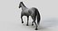 Horse PRO  Black