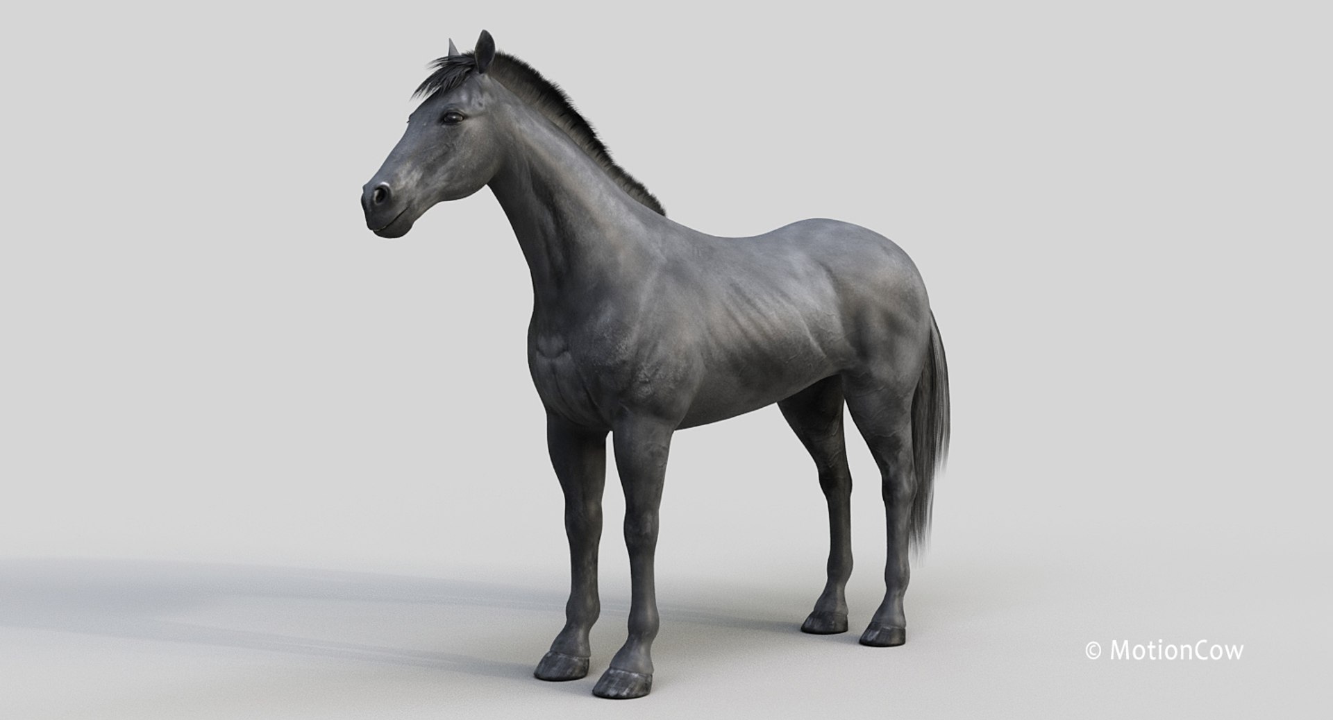 horse pro black animations 3D model https://p.turbosquid.com/ts-thumb/Nh/ij0e3D/FkCYWZFs/black_horse_prob/jpg/1556773879/1920x1080/fit_q87/5c02a6dcca99776ecfc9f9214e57e1322f3385bd/black_horse_prob.jpg