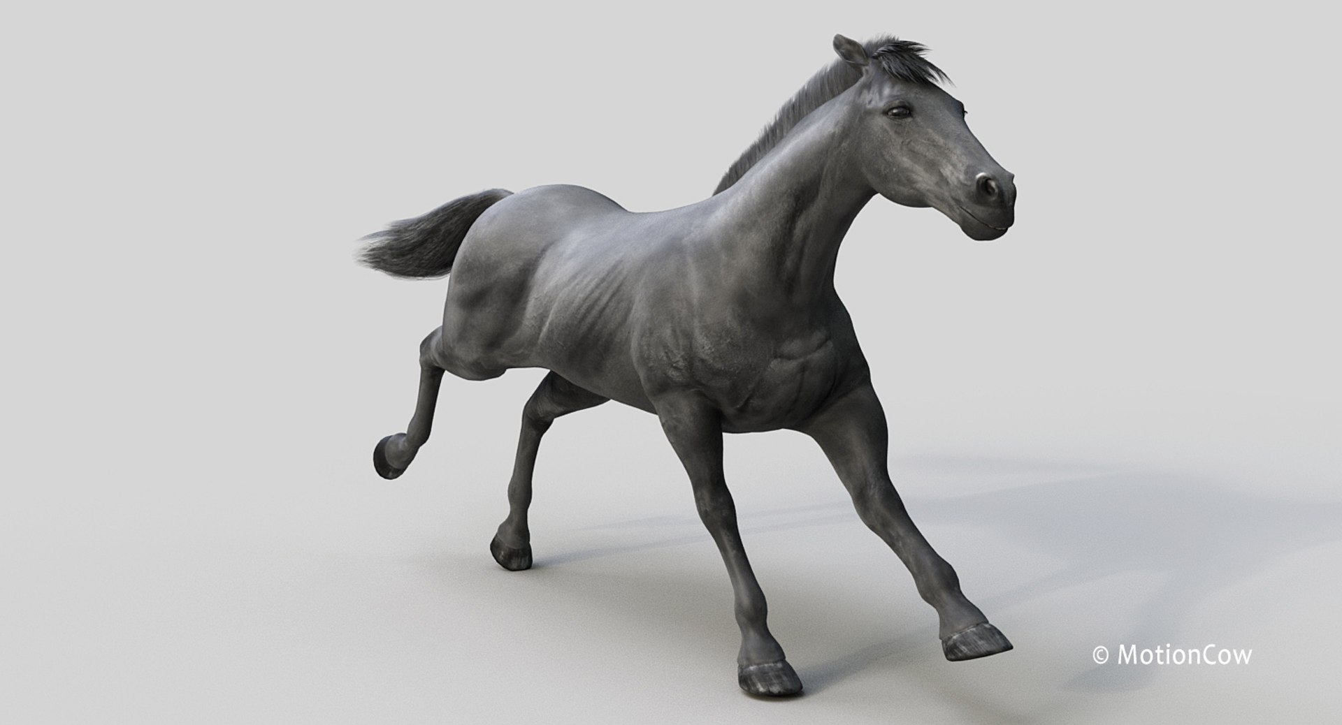 horse pro black animations 3D model https://p.turbosquid.com/ts-thumb/Nh/ij0e3D/Lkjul7Xl/black_horse_prof1/jpg/1556773879/1920x1080/fit_q87/8635921bc37a1bf6ddb59bb8d52f5f279ec0ff9e/black_horse_prof1.jpg