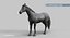 Horse PRO  Black