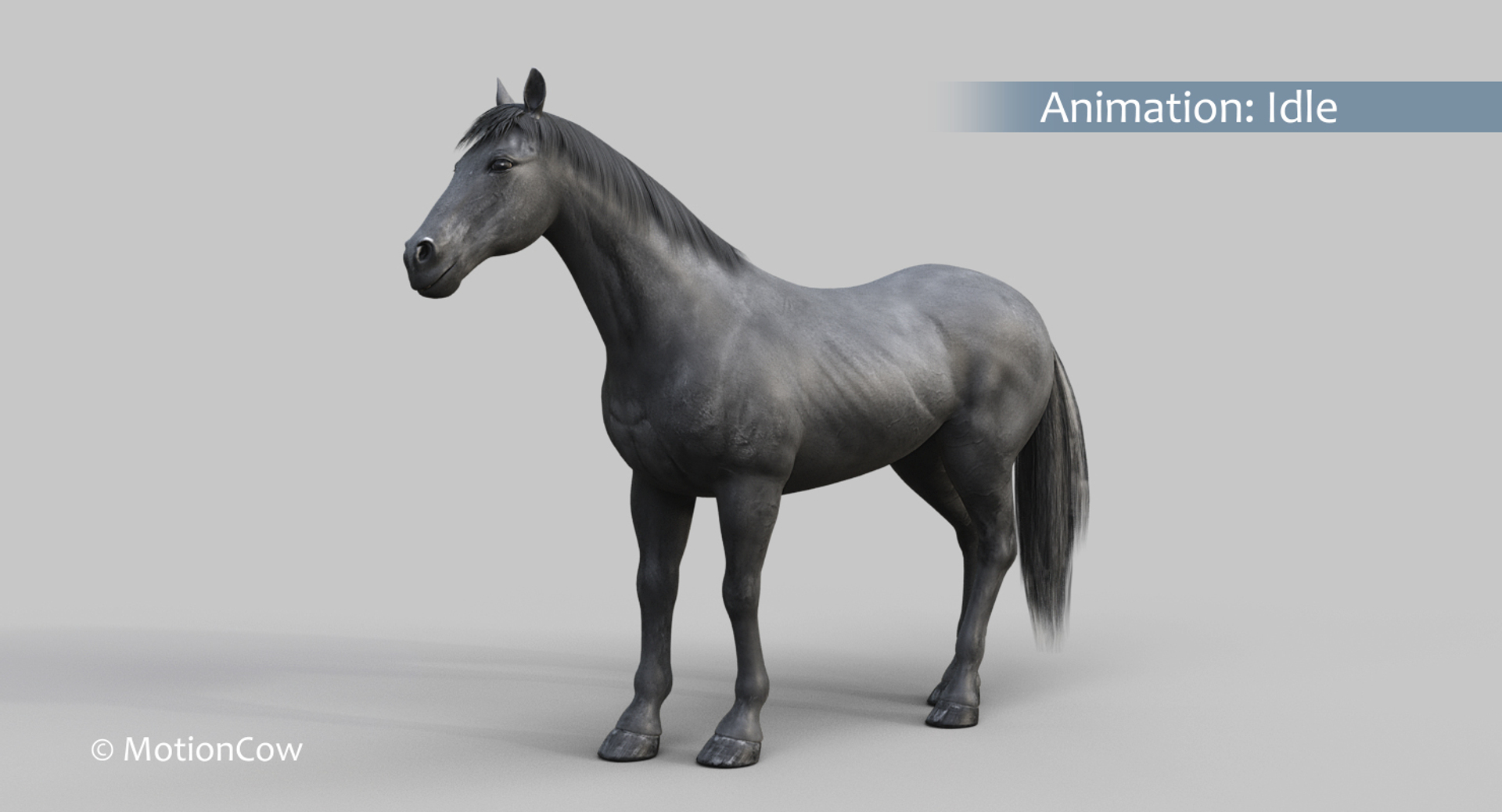 horse pro black animations 3D model https://p.turbosquid.com/ts-thumb/Nh/ij0e3D/M2FekW5I/black_horse_idle/jpg/1556880772/1920x1080/turn_fit_q99/6deed47004c213274e84d964f68c7988e9c94f63/black_horse_idle-1.jpg