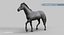 Horse PRO  Black