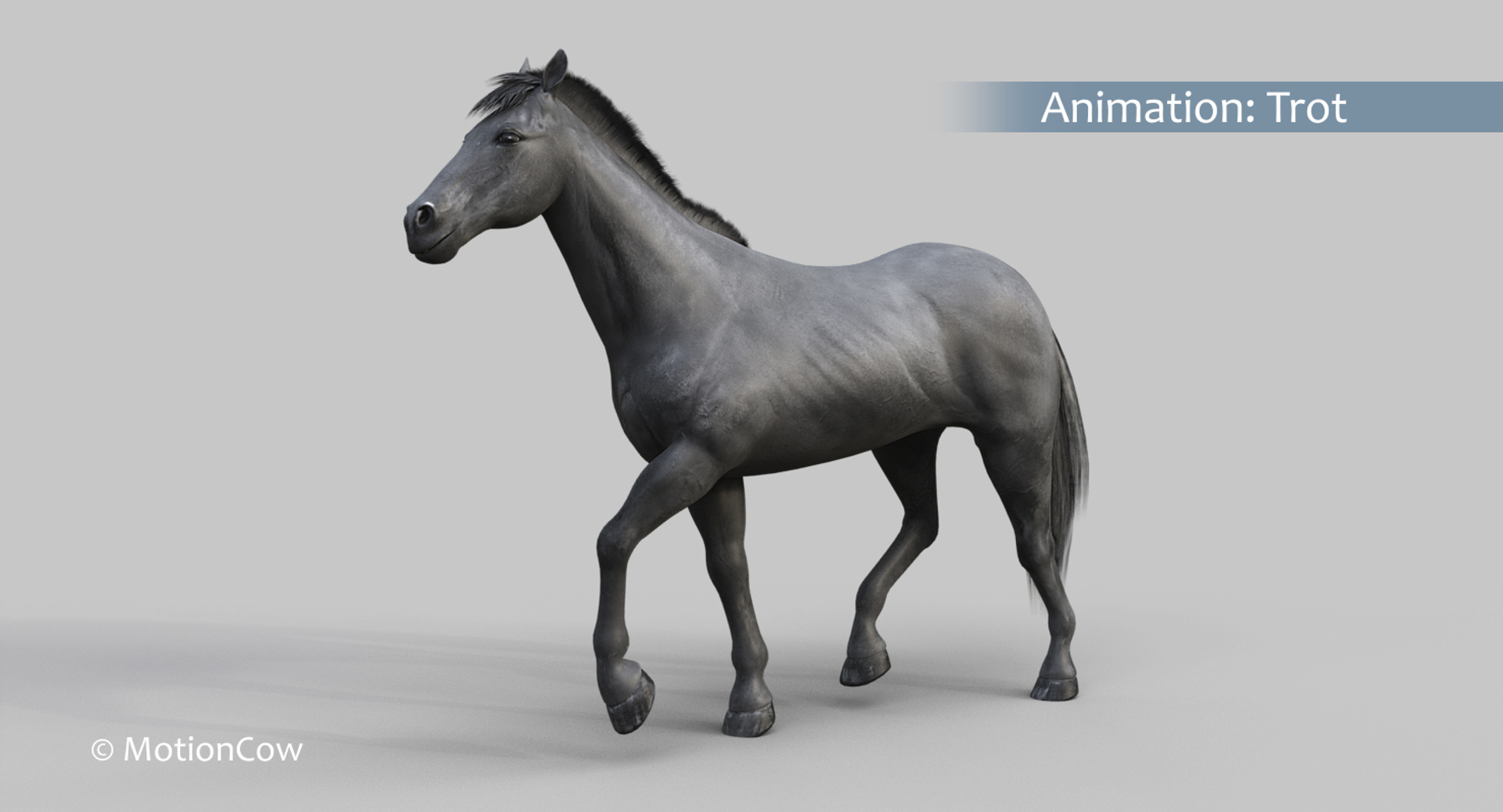 horse pro black animations 3D model https://p.turbosquid.com/ts-thumb/Nh/ij0e3D/NOb8wLQ7/black_horse_trot/jpg/1556879822/1920x1080/turn_fit_q99/725cd1b3763f9ad4e0084fead4cebd9628ae5eec/black_horse_trot-1.jpg