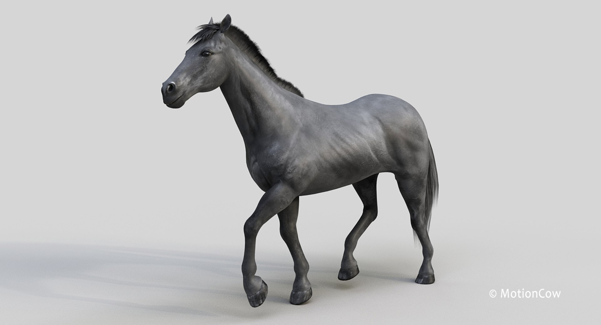 horse pro black animations 3D model https://p.turbosquid.com/ts-thumb/Nh/ij0e3D/SKUiJMnR/black_horse_prod/jpg/1556773879/1920x1080/fit_q87/4129fc0766aafcd6b5ee484f87ee85be1653a59d/black_horse_prod.jpg