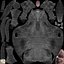 Horse PRO  Black