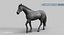 Horse PRO  Black