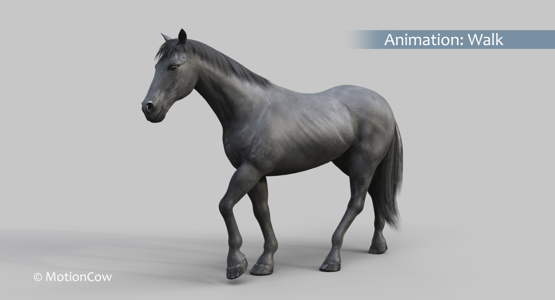 horse pro black animations 3D model https://p.turbosquid.com/ts-thumb/Nh/ij0e3D/Vgah0WLB/black_horse_walk/jpg/1556879356/1920x1080/turn_fit_q99/447a255620cabeb6fc7dd6e189de4fe2a8da1ea0/black_horse_walk-1.jpg