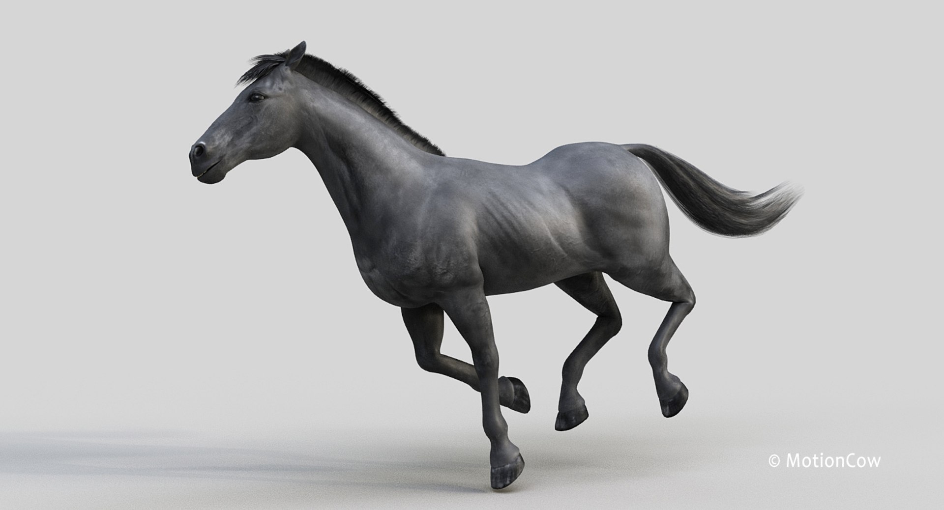 horse pro black animations 3D model https://p.turbosquid.com/ts-thumb/Nh/ij0e3D/Yj5ziasJ/black_horse_proc1/jpg/1556773879/1920x1080/fit_q87/a1351e20ad86fef282146f9fddb11eacbd9696ca/black_horse_proc1.jpg