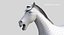 Horse PRO  Black