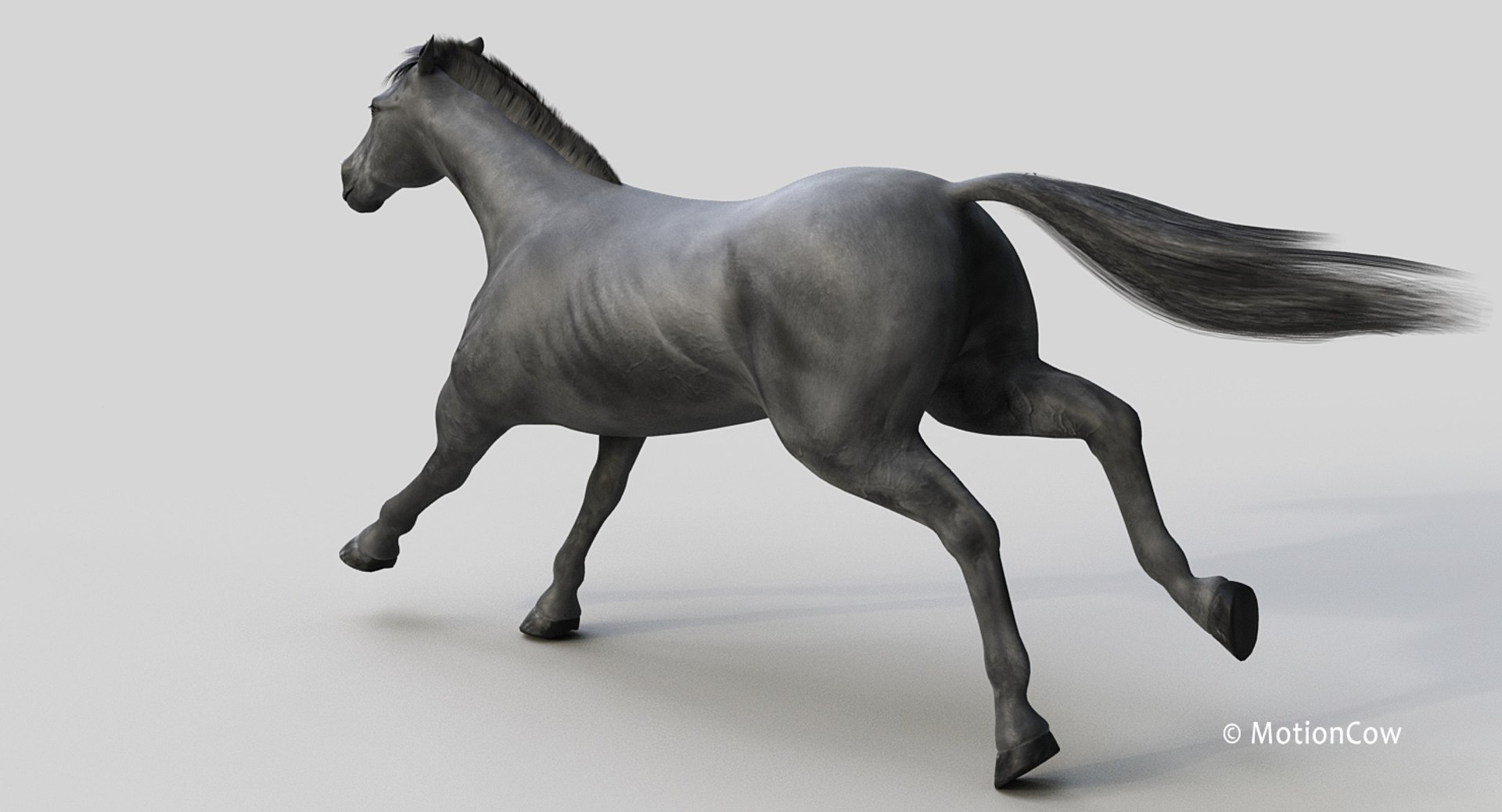 horse pro black animations 3D model https://p.turbosquid.com/ts-thumb/Nh/ij0e3D/eL0awiXk/black_horse_prof2/jpg/1556773879/1920x1080/fit_q87/fc8f143cff917ae5091e6e0b0ea5902806c92278/black_horse_prof2.jpg