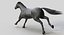 Horse PRO  Black