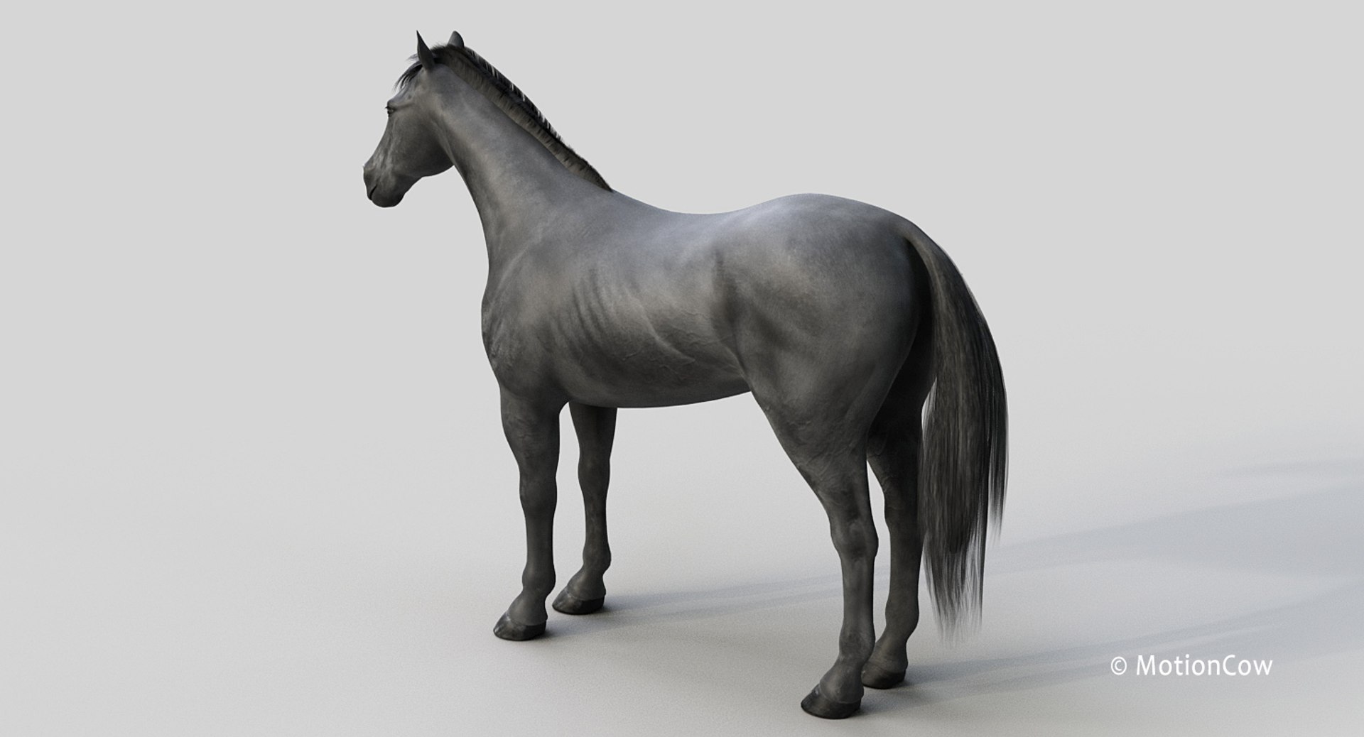 horse pro black animations 3D model https://p.turbosquid.com/ts-thumb/Nh/ij0e3D/hW3nZQYD/black_horse_prob1/jpg/1556773879/1920x1080/fit_q87/ad3ef7c1304ec88c873aaa5bf72a41695e34ef23/black_horse_prob1.jpg
