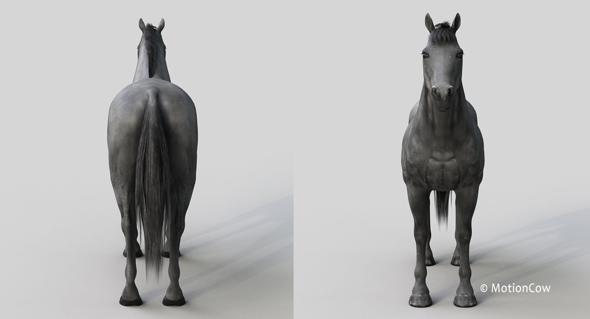 horse pro black animations 3D model https://p.turbosquid.com/ts-thumb/Nh/ij0e3D/thX9vBqY/black_horse_proj2/jpg/1556773880/1920x1080/fit_q87/2771426263aa13380bcbe3d3658329dc48ffdd5c/black_horse_proj2.jpg