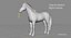 Horse PRO  Black