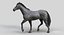 Horse PRO  Black