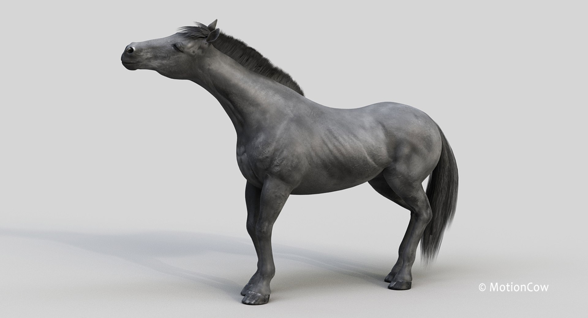horse pro black animations 3D model https://p.turbosquid.com/ts-thumb/Nh/ij0e3D/uzhA0iLH/black_horse_proh/jpg/1556773879/1920x1080/fit_q87/750d3144605402b8eed78cf7da791cb36be89493/black_horse_proh.jpg