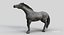 Horse PRO  Black