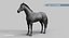 Horse PRO  Black