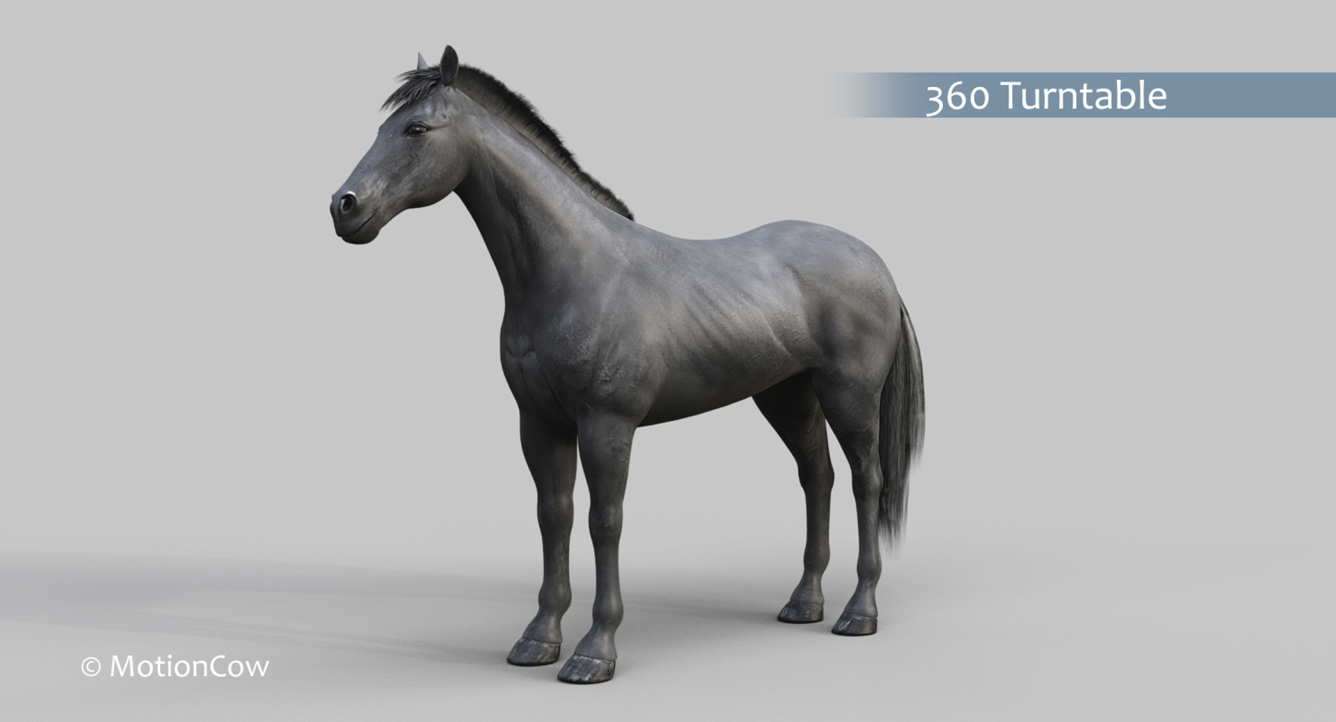 horse pro black animations 3D model https://p.turbosquid.com/ts-thumb/Nh/ij0e3D/zbFWruwu/black_horse_rot/jpg/1556885178/1920x1080/turn_fit_q99/f5d647bf7f4e6e2f4d7d1a89ee6d3cfcca0a0518/black_horse_rot-1.jpg