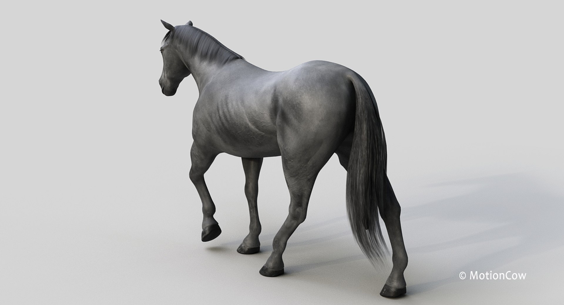 horse pro black animations 3D model https://p.turbosquid.com/ts-thumb/Nh/ij0e3D/zwqrl69Y/black_horse_proa1/jpg/1556773879/1920x1080/fit_q87/37d2e5dea442862431dbdd7135f8130bec85b445/black_horse_proa1.jpg