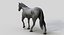 Horse PRO  Black