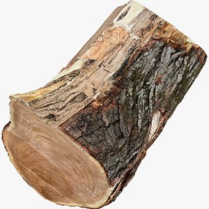 3D A peeling piece of wood 3d scan in highpoly