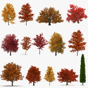 3D autumn trees 2 model