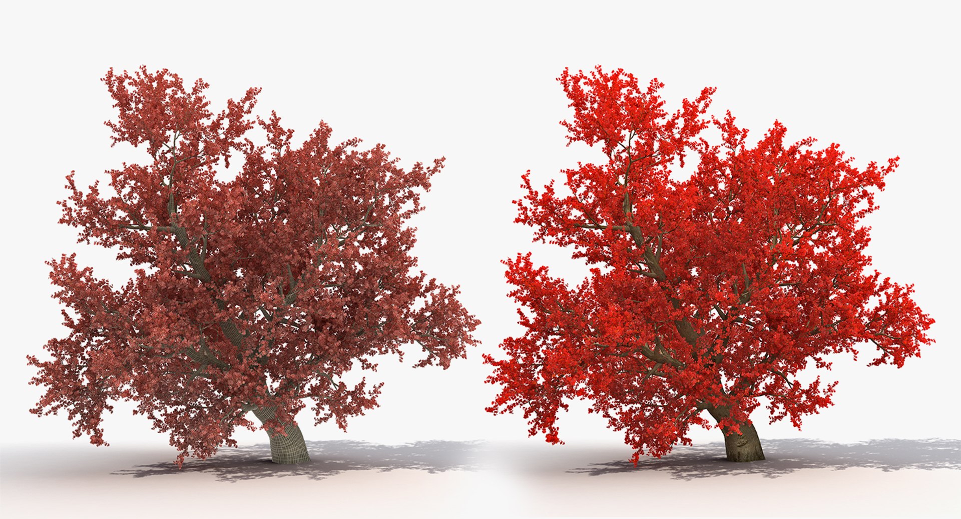 3D autumn trees 2 model - TurboSquid 1331988