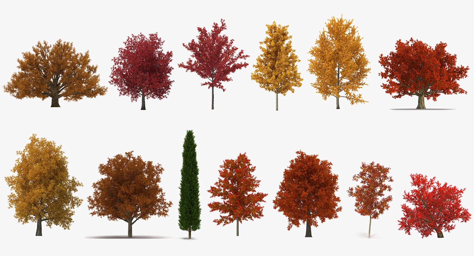 3D autumn trees 2 model - TurboSquid 1331988