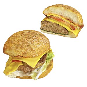 3D Burger set