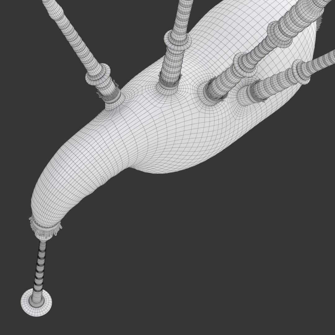 bagpipe bag pipe 3D https://p.turbosquid.com/ts-thumb/Ni/8CMOgQ/ubBygCqb/bagpipewireframe11/png/1572070096/1920x1080/fit_q87/c2640958003a13c197dda4c391b0e30d19bd4108/bagpipewireframe11.jpg