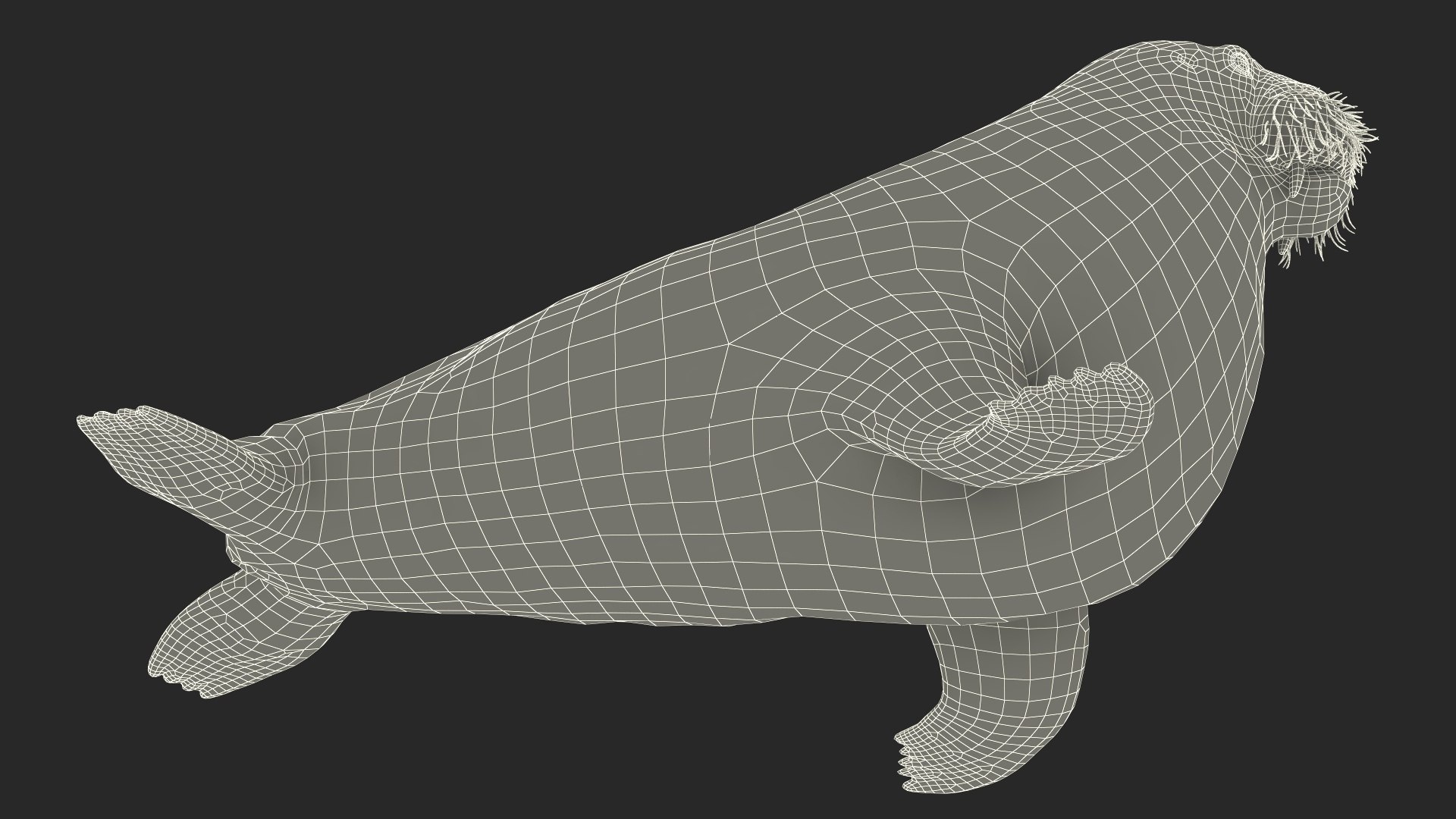 3D Walking Young Walrus Model - TurboSquid 2402459