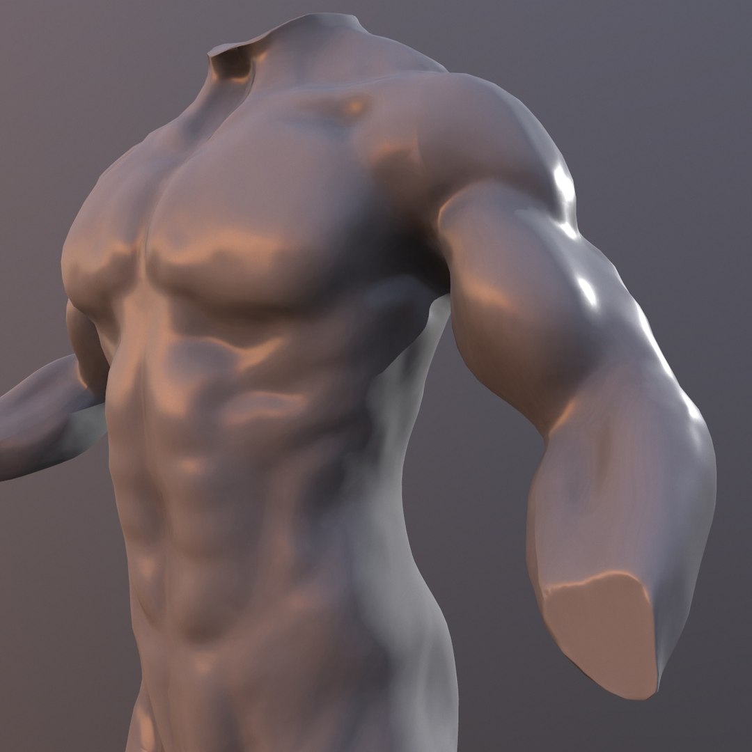 mannequin model https://p.turbosquid.com/ts-thumb/Ni/GAyAgI/5CgkhGXP/screenshot025/jpg/1556905262/1920x1080/fit_q87/76c45745f09f30b3469e2181a03471ad5993215f/screenshot025.jpg