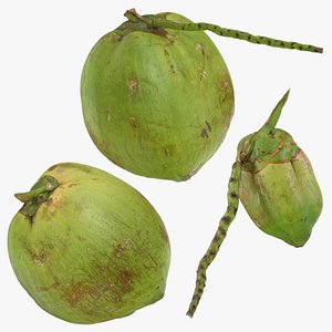Green Coconut Collection 2